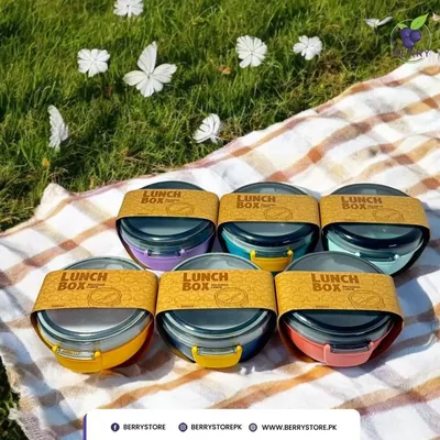 Compact Mini Plastic Lunch Box – Lightweight, Leak-Proof Food Storage Container for Kids & Office Use