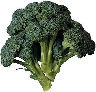 Fresh & Organic Broccoli in Pakistan – Premium Quality Green Vegetable Available at Wholesale & Retail Rates for Restaurants, Cafes, Hotels & Home Use