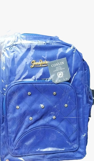 Stylish and Functional Backpacks bag for Everyday Use - Available in Multiple Colors