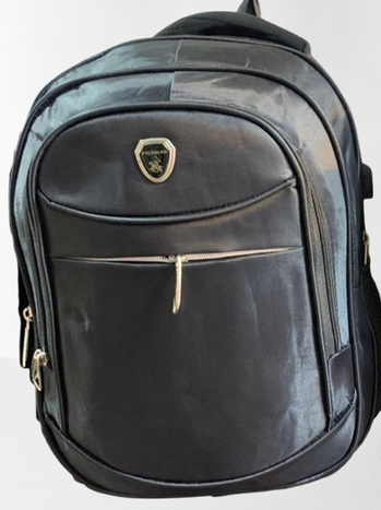 PoloLoad Business & Travel Backpack bags - Laptop Ready