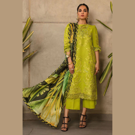 Rang Rasiya Luxury 3PC Lawn Embroidered Suit – Chikan Kari Front & Sleeves, Daman Patch, Cambric Trouser with Silk Printed Dupatta | Hit Code Summer Edition 2025.