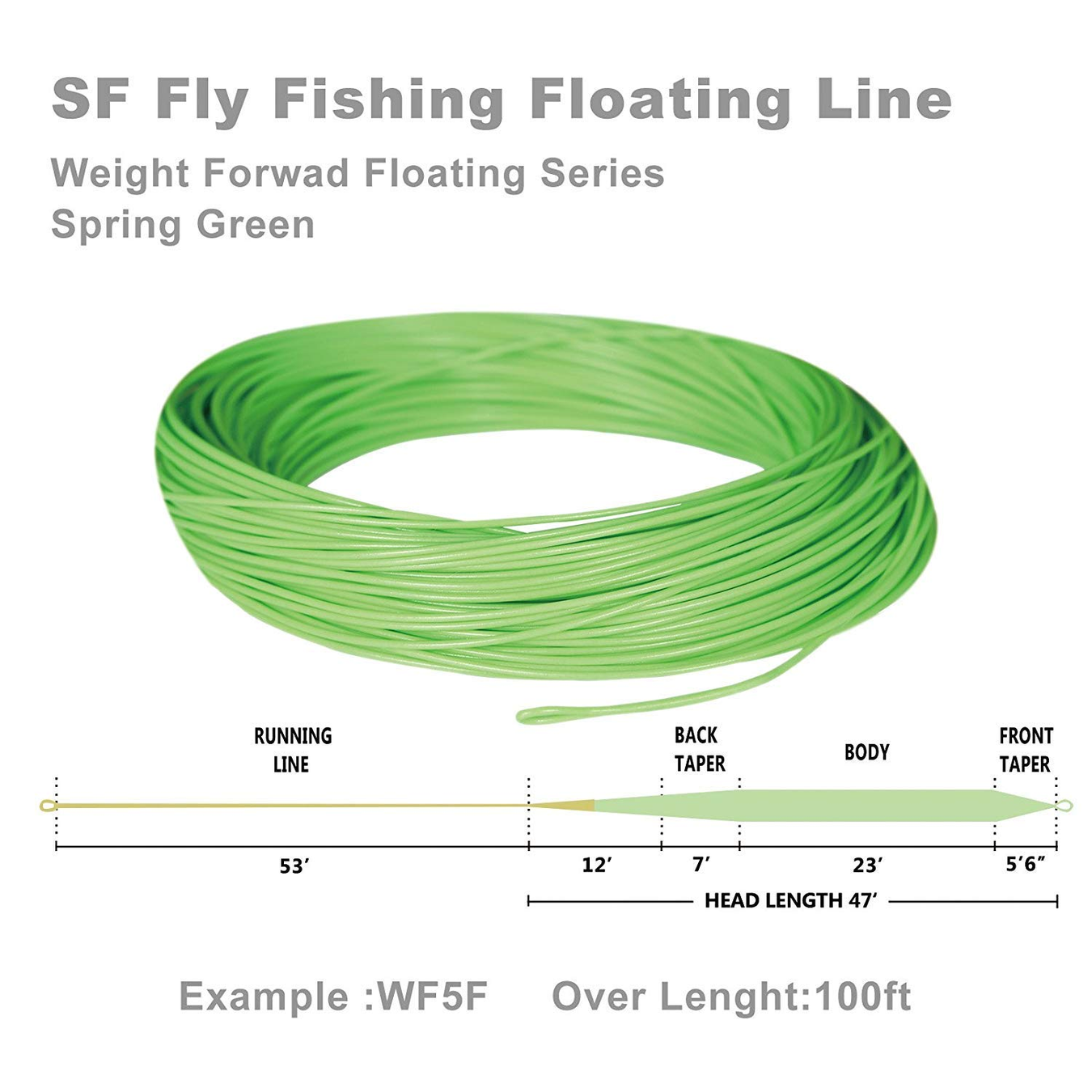 WF-6F Fly Fishing Line – 100FT Teal Blue Floating Weight Forward Line