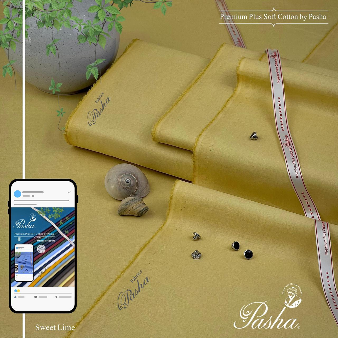 Pasha Premium Plus Soft Cotton: Luxurious & Breathable Fabric in Trending Colors