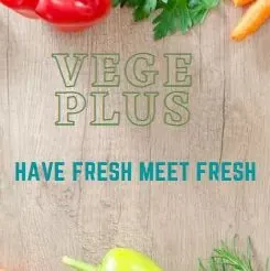 Vege Plus